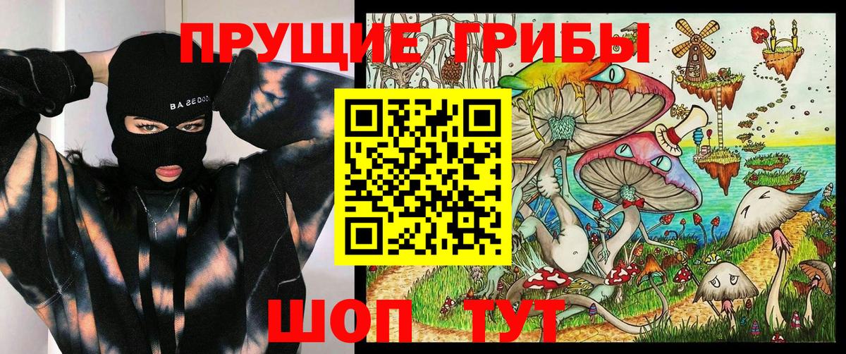 Псилоцибиновые грибы ЛСД  Вход с VPN  Псилоцибиновые грибы MAGIC MUSHROOMS  Кузнецк 