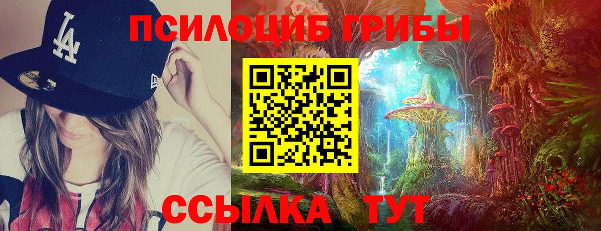 Галлюциногенные грибы Psilocybine cubensis Кузнецк